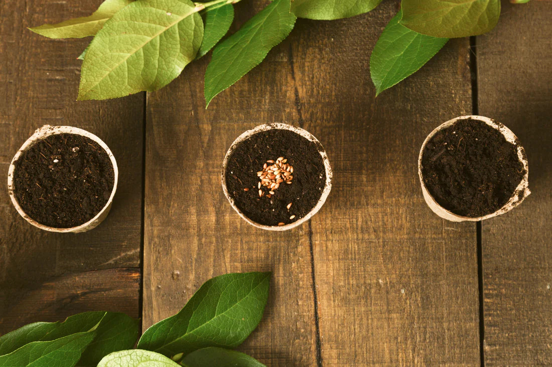 Sustainable Printing: How Soy-Based Inks Are Revolutionizing Eco-Friendly Packaging