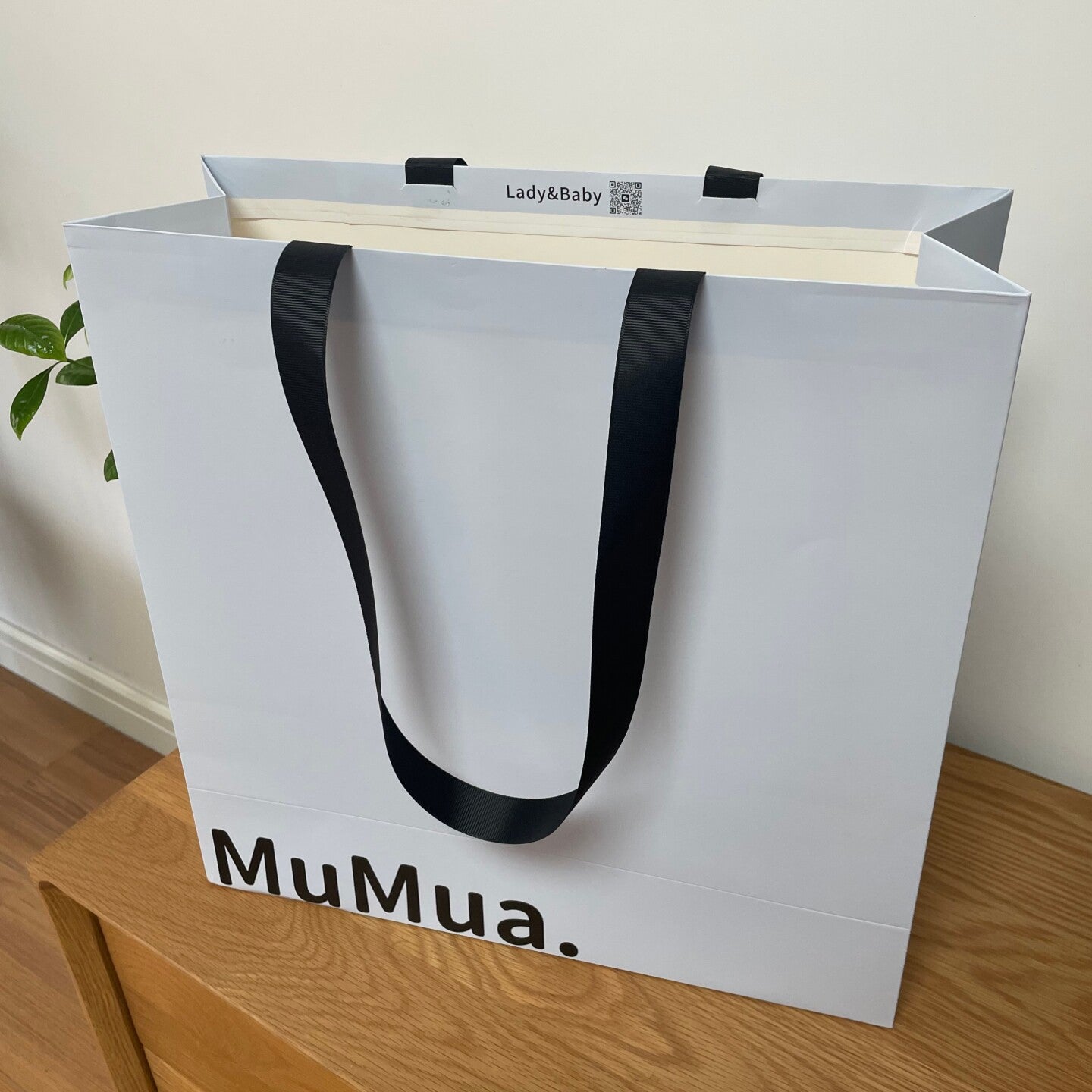 Retail Shopping Bag with Glued in Ribbon Handles for Gifts - 160x80x210