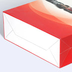 custom paper shopping bag - custom printing