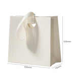 Small Boutique Shopping Bags for Retail