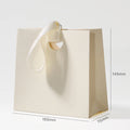 Small Boutique Shopping Bags for Retail