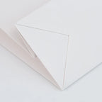 Retail Shopping Bag with Glued in Ribbon Handles for Fashion & Boutique