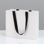 Retail Shopping Bag with Glued in Ribbon Handles for Fashion & Boutique